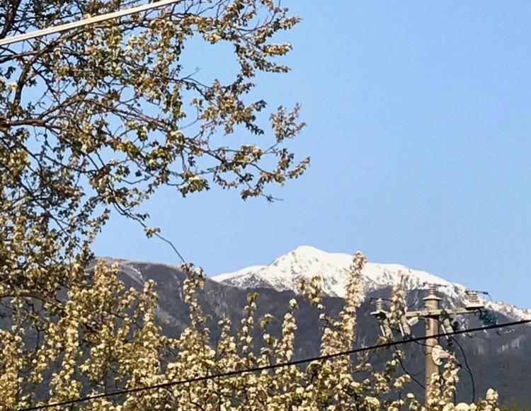 Appartamento The Ginger Bread House Mount Beauty Esterno foto